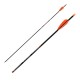 Tyro Arrows (1 doz.) included points, nocks and vanes